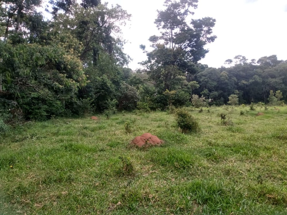 Terreno - Venda - Jardim So Jos - Bragana Paulista - SP