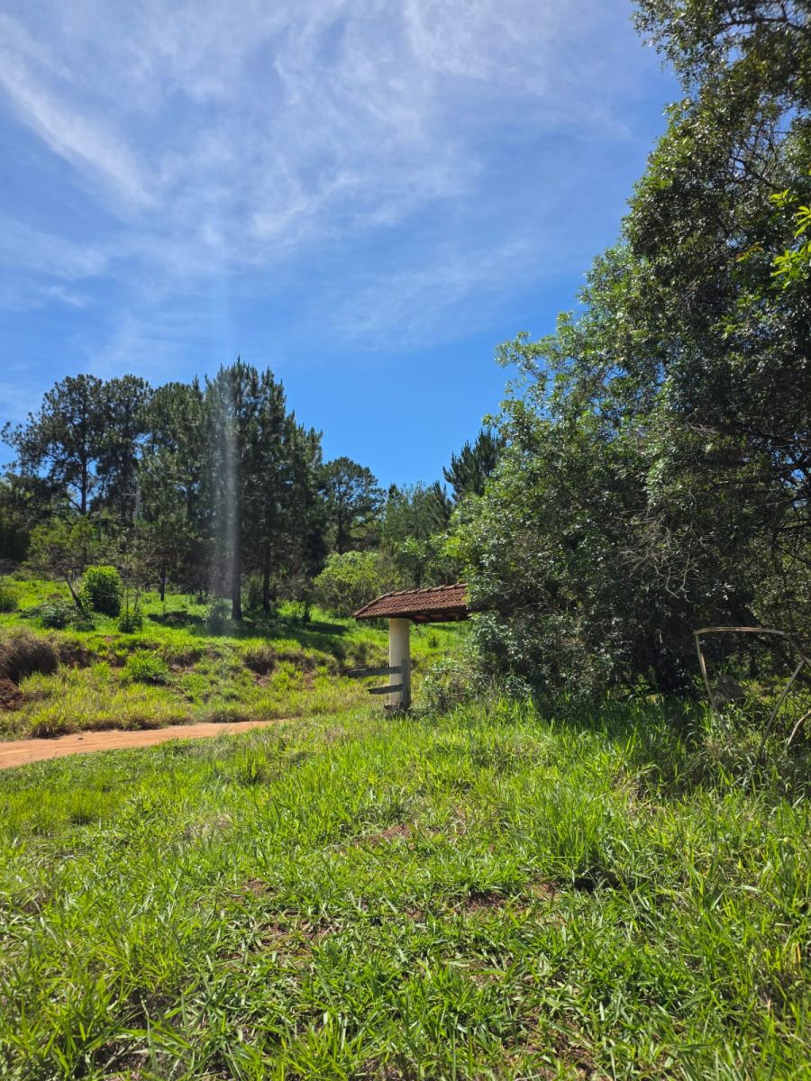 Terreno - Venda - gua Comprida - Bragana Paulista - SP