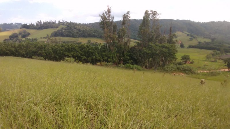 Terreno - Venda - Pedra Bela - Pedra Bela - SP