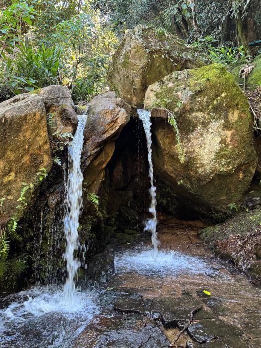 Sítio - Venda - CENTRO - Extrema - MG