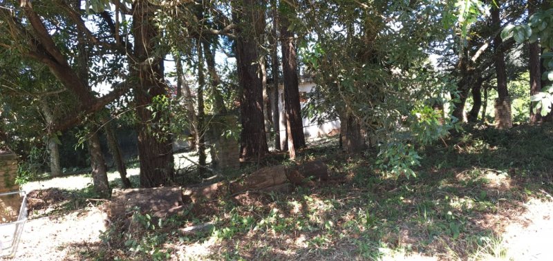 Terreno em Condomnio - Venda - Jardim Estancia Santana - Bragana Paulista - SP