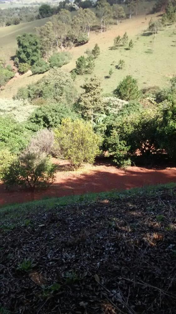 Chcara - Venda - Tuiuti - Tuiuti - SP