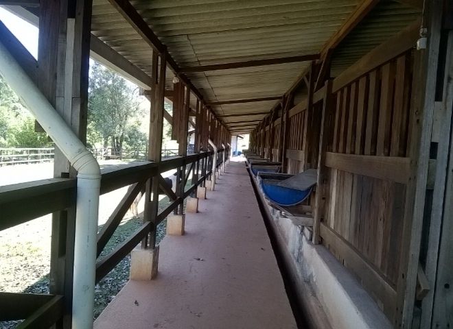 Stio - Venda - Bom Retiro - Bragana Paulista - SP